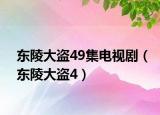 东陵大盗49集电视剧（东陵大盗4）
