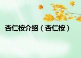 杏仁桉介绍（杏仁桉）
