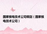 国家核电技术公司级别（国家核电技术公司）