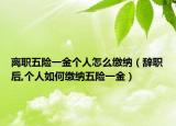 离职五险一金个人怎么缴纳（辞职后,个人如何缴纳五险一金）