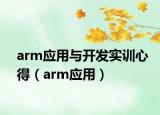 arm应用与开发实训心得（arm应用）