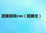 武藤游戏cos（武藤兰）