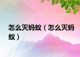 怎么灭蚂蚁（怎么灭蚂蚁）