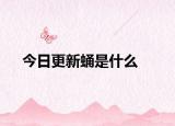 今日更新蛹是什么