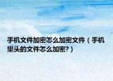 手机文件加密怎么加密文件（手机里头的文件怎么加密?）