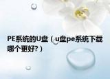 PE系统的U盘（u盘pe系统下载哪个更好?）