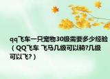 qq飞车一只宠物30级需要多少经验（QQ飞车 飞马几级可以骑?几级 可以飞?）