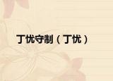 丁忧守制（丁忧）