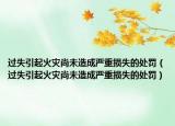 过失引起火灾尚未造成严重损失的处罚（过失引起火灾尚未造成严重损失的处罚）