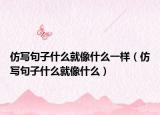 仿写句子什么就像什么一样（仿写句子什么就像什么）
