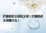 打量的近义词反义词（打量的近义词是什么）