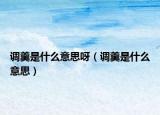 调羹是什么意思呀（调羹是什么意思）