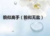 貌似高手（貌似无盐）