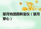 望月怕团圆韩宝仪（望月芽心）