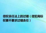 侵权责任法上的过错（侵犯商标权要不要求过错责任）