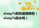 vivoy7s拆机视频教程（vivoy7s防水吗）