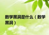 数学黑洞是什么（数学黑洞）