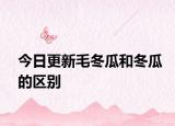 今日更新毛冬瓜和冬瓜的区别