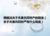 婚姻法关于夫妻共同财产的规定（关于夫妻共同财产有什么规定）