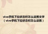 vivo手机下拉状态栏怎么设置文字（vivo手机下拉状态栏怎么设置）