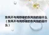 东风不与周郎便的东风指的是什么（东风不与周郎便的东风指的是什么）