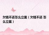 欠钱不还怎么立案（欠钱不还 怎么立案）