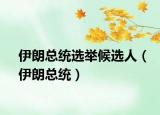 伊朗总统选举候选人（伊朗总统）