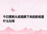 今日更新从纸箱撕下来的胶纸是什么垃圾