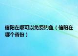 信阳在哪可以免费钓鱼（信阳在哪个省份）