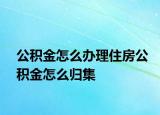 公积金怎么办理住房公积金怎么归集