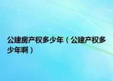 公建房产权多少年（公建产权多少年啊）