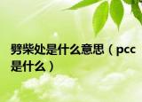 劈柴处是什么意思（pcc是什么）