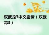 双截龙3中文剧情（双截龙3）