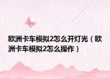 欧洲卡车模拟2怎么开灯光（欧洲卡车模拟2怎么操作）