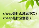 cheap是什么意思中文（cheap是什么意思）