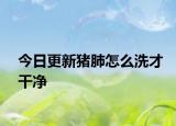 今日更新猪肺怎么洗才干净