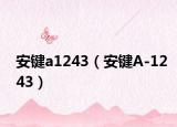 安键a1243（安键A-1243）