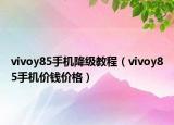 vivoy85手机降级教程（vivoy85手机价钱价格）
