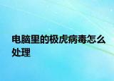 电脑里的极虎病毒怎么处理