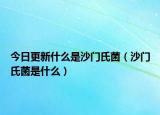 今日更新什么是沙门氏菌（沙门氏菌是什么）