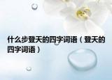 什么步登天的四字词语（登天的四字词语）