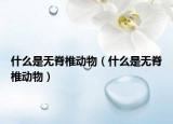 什么是无脊椎动物（什么是无脊椎动物）