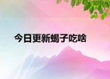 今日更新蝎子吃啥