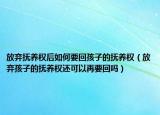 放弃抚养权后如何要回孩子的抚养权（放弃孩子的抚养权还可以再要回吗）