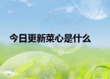 今日更新菜心是什么