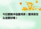 今日更新冲泡普洱茶（普洱茶怎么泡更好喝）
