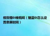 榄呰摑6t榛戝睆（魅蓝6t怎么设置息屏时间）
