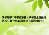 李子是哪个季节成熟的（李子什么时候成熟,李子是什么季节的,李子成熟的季节）