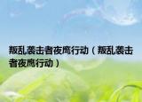 叛乱袭击者夜鹰行动（叛乱袭击者夜鹰行动）