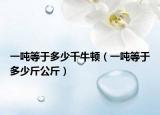 一吨等于多少千牛顿（一吨等于多少斤公斤）